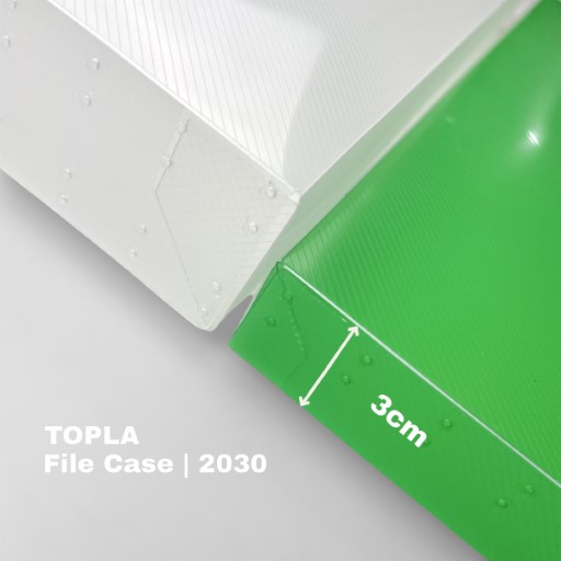 File Case 2030