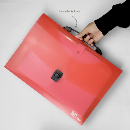 File Case 2030